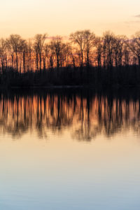 Germany, Baden-Wuerttemberg, Karlsruhe, evening mood at Grötzinger Baggersee. Germany, Baden-Wuerttemberg, Karlsruhe, evening mood at Grötzinger Baggersee.